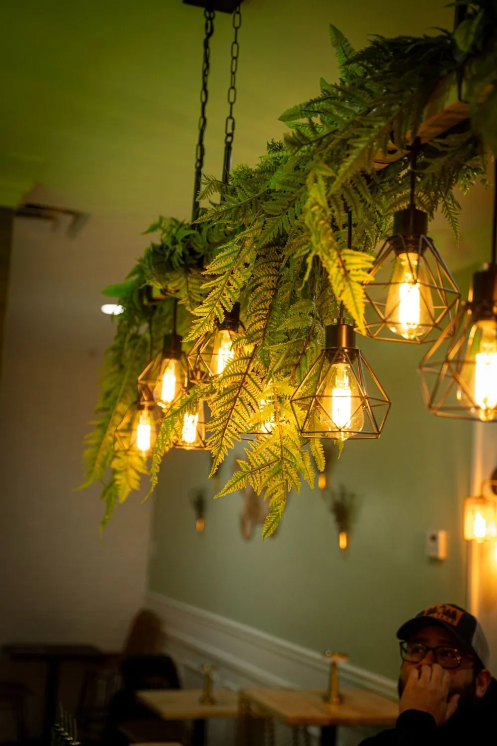 Plantas colgantes y bombillas en CORA